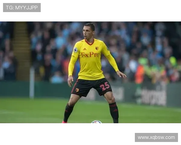 沃特福德俱乐部发展历程与球队文化传承及未来战略方向探讨 沃特福德俱乐部发展历程与球队文化传承及未来战略方向探讨