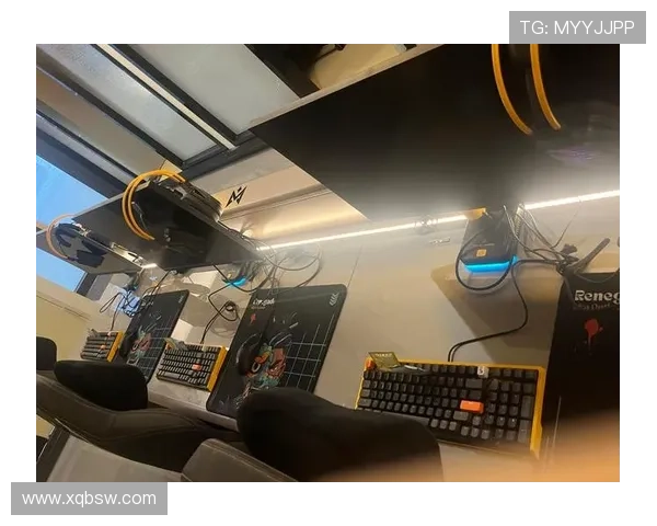 《2025年全球电竞行业发展趋势分析 电竞赛事影响力持续提升》 《2025年全球电竞行业发展趋势分析 电竞赛事影响力持续提升》